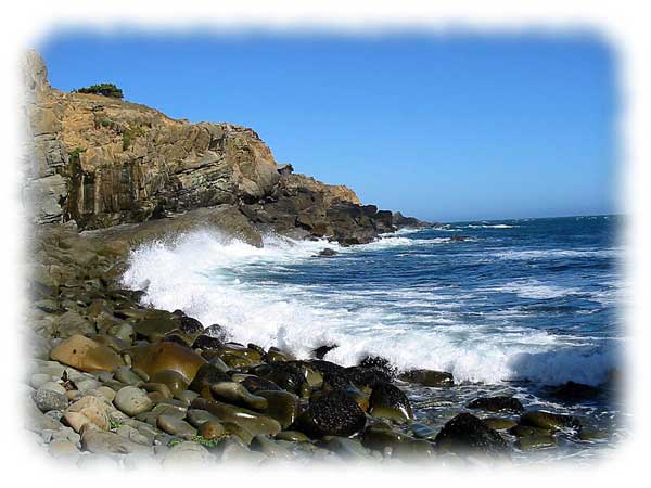 Timer Cove Wave Photo